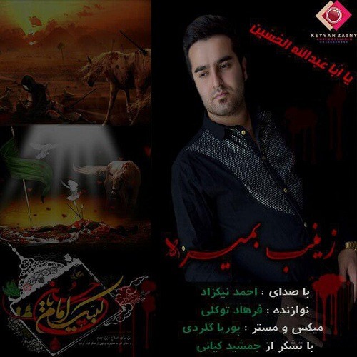 احمد نیکزاد زینب بمیره